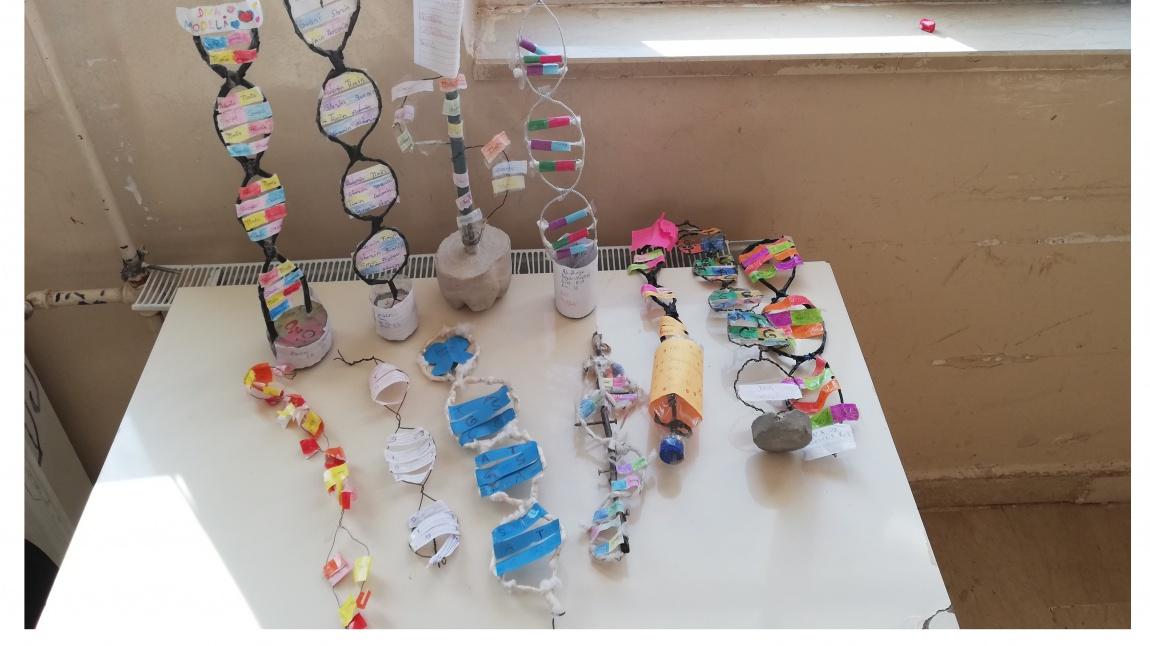 Öğrencilerimiz DNA modeli tasarlıyorlar.